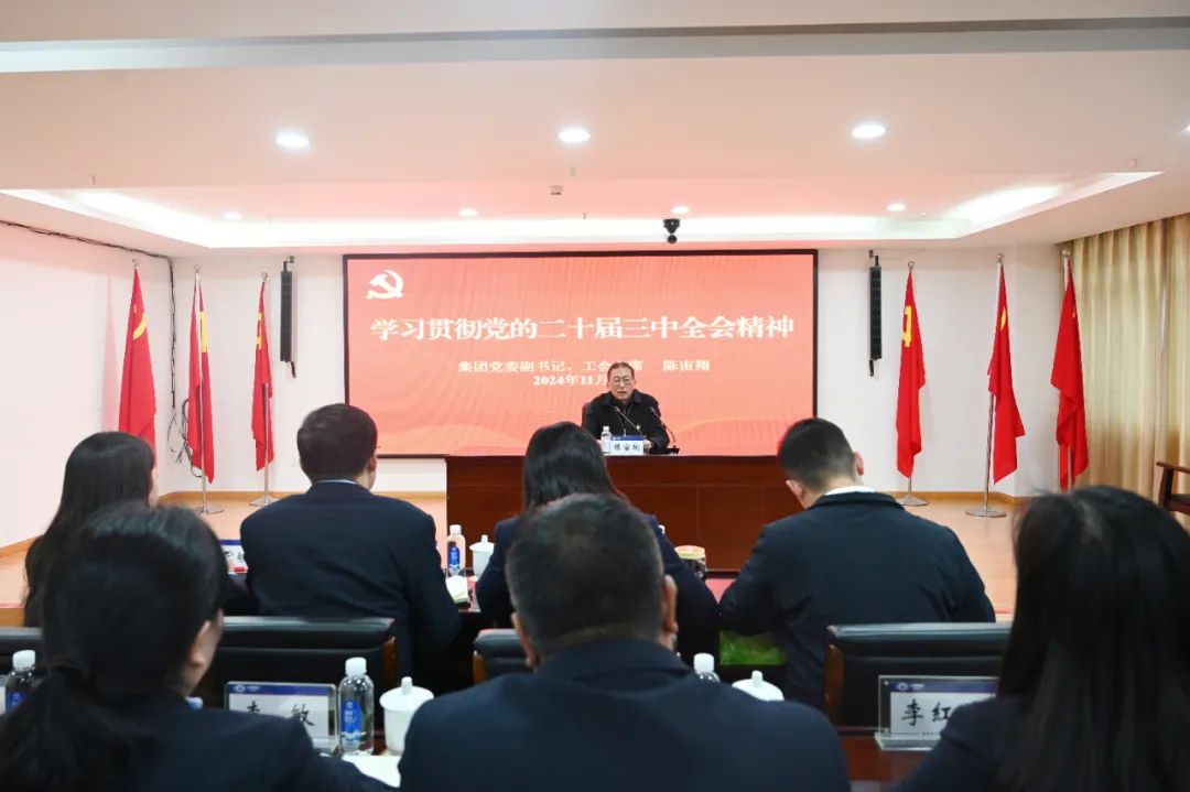 陈宙翔宣讲党的二十届三中全会心灵